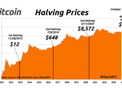 The Bitcoin Halving: What it Means and Three Cryptos to Consider Now - Tech Digital Minds