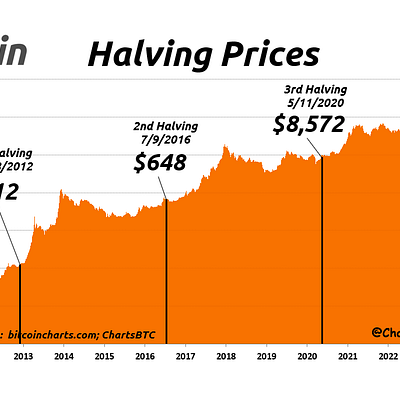 The Bitcoin Halving: What it Means and Three Cryptos to Consider Now - Tech Digital Minds