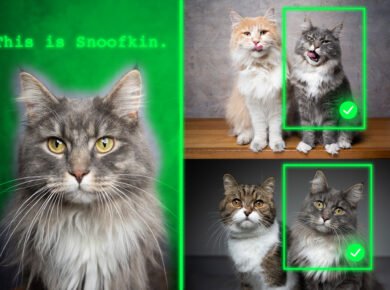 New Method Enables Generative AI Models to Identify Personalized Objects | MIT News - Tech Digital Minds