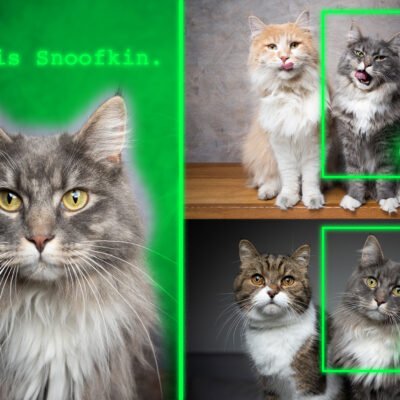 New Method Enables Generative AI Models to Identify Personalized Objects | MIT News - Tech Digital Minds