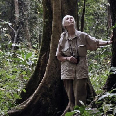 AWS Leverages AI to Digitize 60 Years of Jane Goodall's Primate Research - Tech Digital Minds