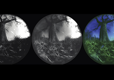 Viewing the World Through Animal Eyes: Harnessing Generative AI for Ecological Neuroscience - Tech Digital Minds