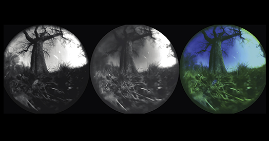 Viewing the World Through Animal Eyes: Harnessing Generative AI for Ecological Neuroscience - Tech Digital Minds